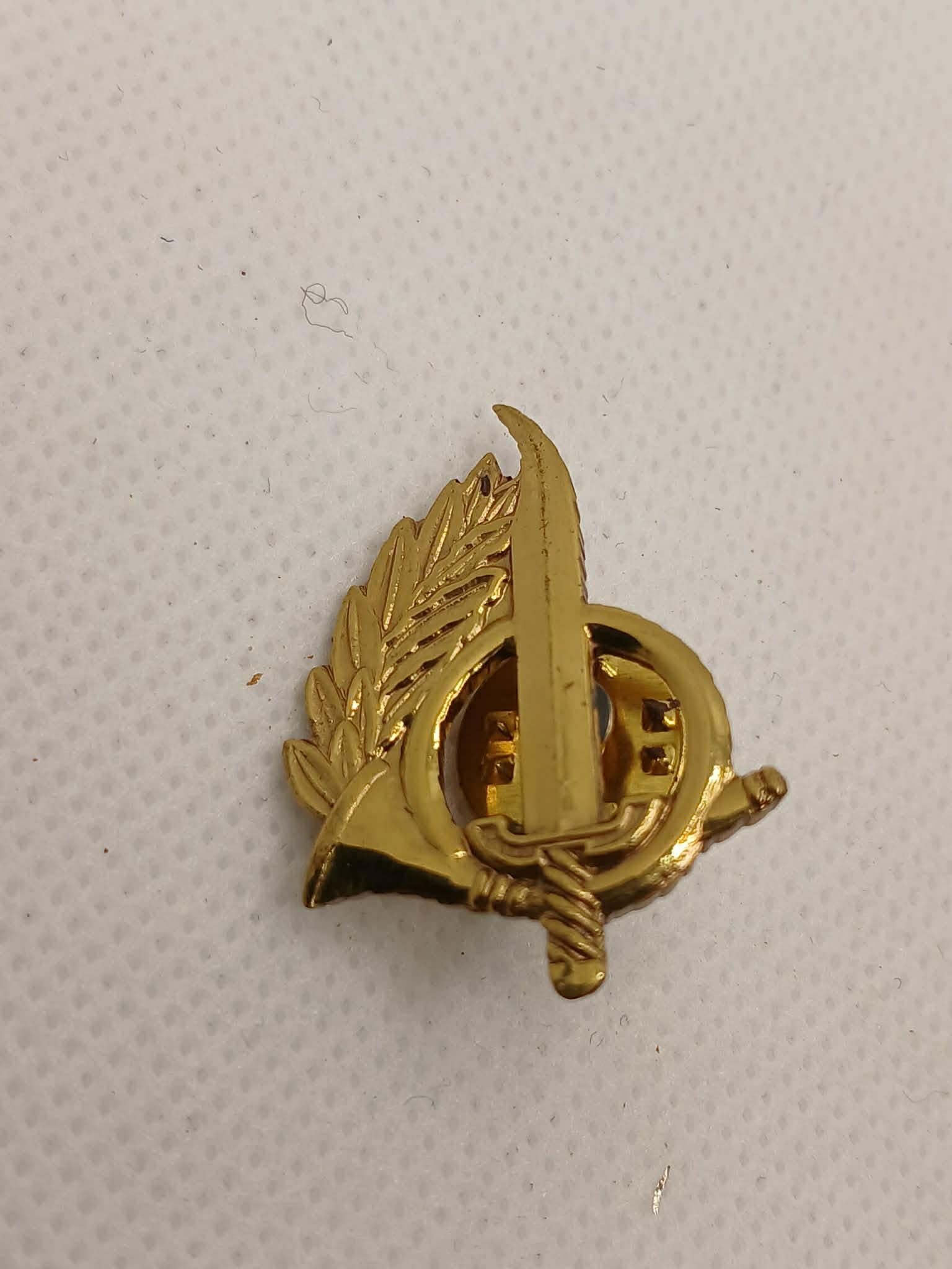 Pin Ranger / Operações Especiais